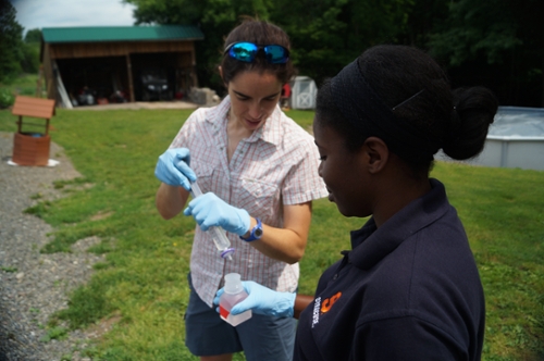 Amanda showing samples